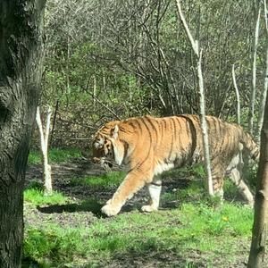 Meet your Posher, Roberto